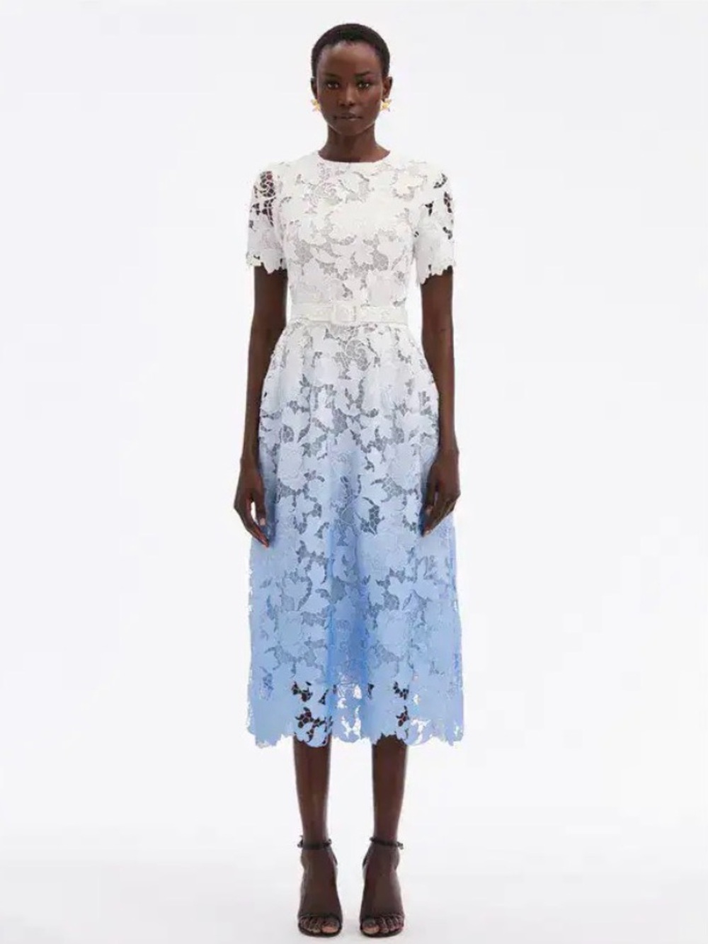 Oscar De La Renta Ombrey Peony Guipure dress